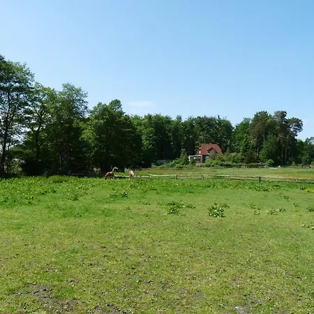 Holiday home Ferienhaushaelfte Zum Plauer Lenz